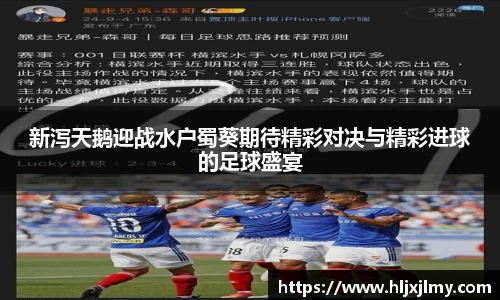 新泻天鹅迎战水户蜀葵期待精彩对决与精彩进球的足球盛宴