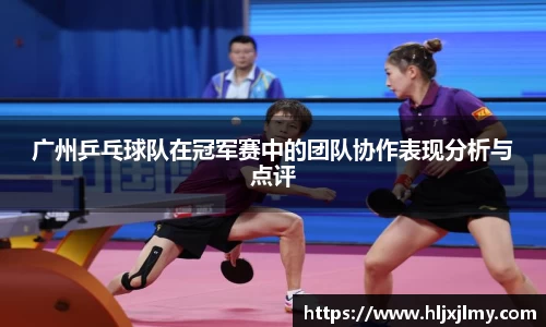 广州乒乓球队在冠军赛中的团队协作表现分析与点评